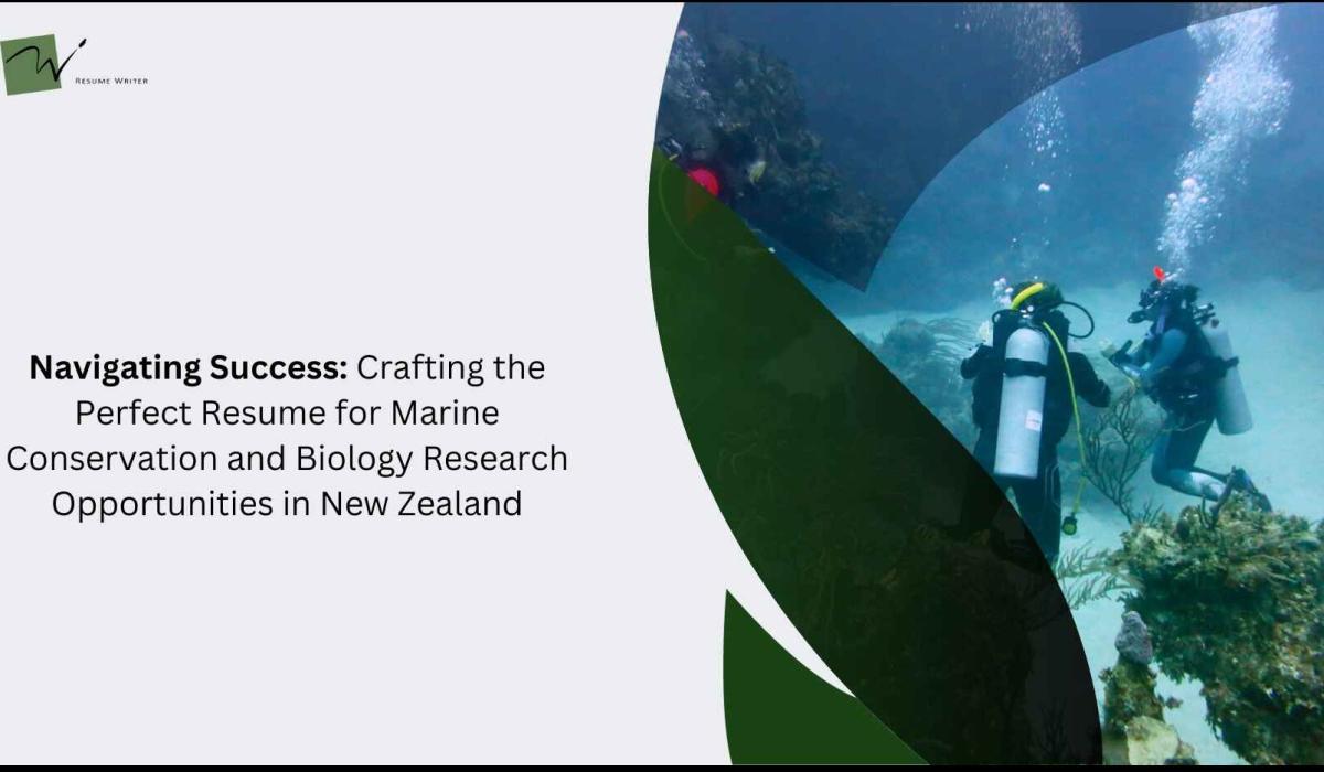 Navigating Success: Crafting The Perfect Resume For Marine Conservation And Biology Research Opportunities In New Zealand